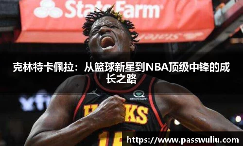 克林特卡佩拉：从篮球新星到NBA顶级中锋的成长之路